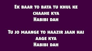 The Naari Naari Lyrics HD  Made In China  Vishal Dadlani [upl. by Secor]