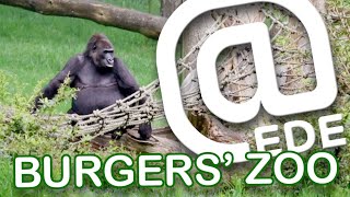 Ede2024 Uitzending 8 Burgers ZooSpecial [upl. by Oxley]