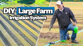 How to Install a Large Farm Drip Irrigation System Complete DIY Guide [upl. by Helfand726]