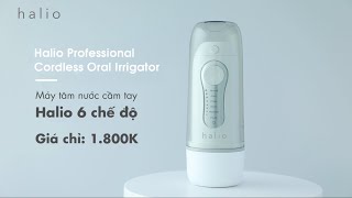 Khám phá Máy tăm nước cầm tay Halio 6 chế độ  Lixibox [upl. by Naihs373]