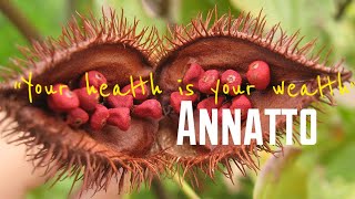 Amazing Health Benefits of Annatto Seeds  Achiote [upl. by Cleave]