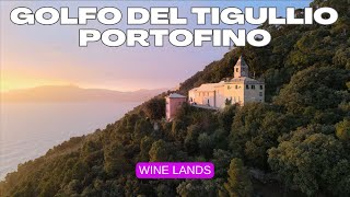 GOLFO DEL TIGULLIO PORTOFINO wine lands between mountain and sea  ITALY Liguria [upl. by Harias]