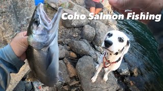 USE SALMON EGGS TO CATCH MORE SALMON COHO SALMON FISHING [upl. by Hallette526]