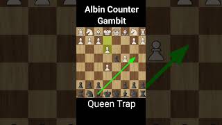 Albin counter gambit queen trap youtubeshorts youtube shortvideo shorts chess chessgame [upl. by Nylirahs]