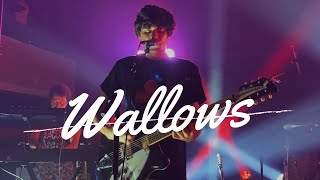 Wallows live in concert [upl. by Doris]