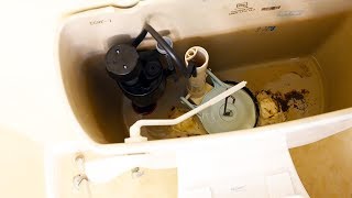 How to Change a Toilet Flapper Fix Running Toilet [upl. by Aspia]