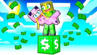 ÜBERLEBEN auf 1000€ BLOCK Minecraft [upl. by Atinus]