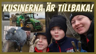 Vad är bäst CASE eller JOHN DEERE  Kusinerna diskuterar🤠 Vlogg 54 [upl. by Stacee84]