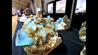 Fantastic Stones at the Tucson Gem Show 2023 [upl. by Ylas]