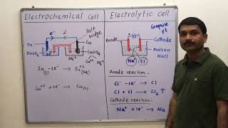 312Difference between Electrochemical and Electrolytic cell class 12th electrochemistry [upl. by Crudden]