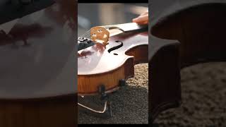 The Ultimate Guide To Stradivarius Violins Unleashing Perfection In Strings youtubeshorts shorts [upl. by Briggs316]