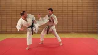 KARATÉ EXPERT  PASSAGE DE GRADES  Kihon Ippon Kumite  Niveau Avancé  1er DAN  Eric Delannoy [upl. by Abbotsun]