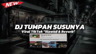 Dj Tumpa Susunya  Cakep Tapi Sayang Jadi Beban Keluarga Viral TikTok Slowed amp Reverb [upl. by Horter244]