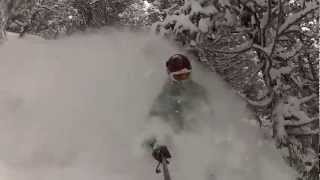 Feb 26 Fernie Deep Powder 90cm 48hr [upl. by Ytsud]