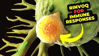 Rinvoq Mechanism Side Effects and Its Role in Ulcerative Colitis Management [upl. by Dauf]