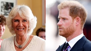 Prince Harry is ‘full of lies’ about Camilla [upl. by Azarria]