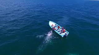 Guerrero Negro Baja California Sur [upl. by Arber]