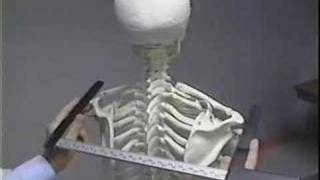 CDC Anthropometric Vid Introduction [upl. by Kletter]