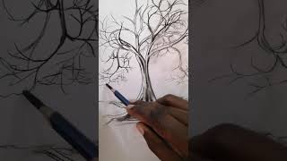 Leafless tree drawing [upl. by Dibri]