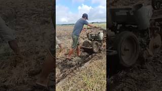 farming shorts viralvideo planting [upl. by Ferdinand]