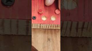 Covering the screw head using a small piece of broken antenna diy carpentry tips woodworking [upl. by Leelaj]