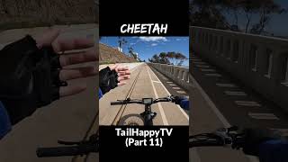 Cheetah Review Part 11 CA Incline Test 7 grade 🚲💯ebike haoqiebike ride adventure review [upl. by Anthia]