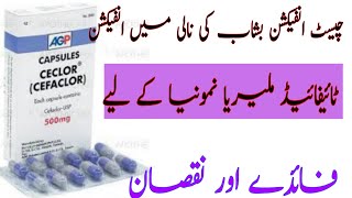 Ceclor capsule Slate Cefaclor uses side effects how to use in Urdu  Hindi cefaclor capsule [upl. by Gnehs907]