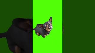 Pincher pincher greenscreen telaverde [upl. by Debby]