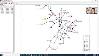 Haplotype Network using POPART Tagalog [upl. by Hagile]