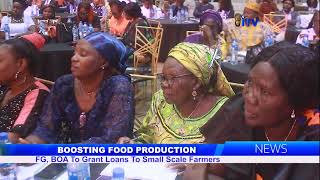 Boosting Food Production FG BOA To Grant loans To Small Scale Farmers [upl. by Pattison]