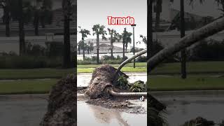 Tornado damage Palm Beach Gardens Florida [upl. by Annoel]