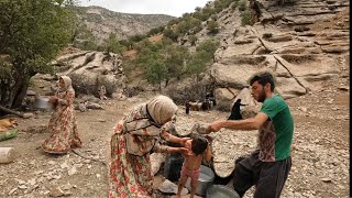 Milking sheep and cooking local foodnomadic lifestyle [upl. by Anilev252]