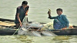 শীতের সকালে নদীতে ইলিশ ধরা ভিডিও  catching hilsa fish in river  village fishing [upl. by Onairot]