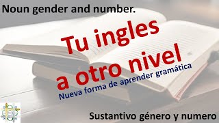 Noun gender and number  Sustantivo género y numero [upl. by Imoyik]