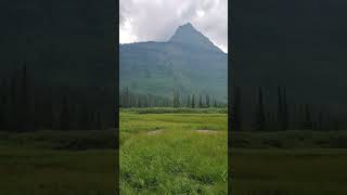 The trail to Florence Falls Glacier National Park Montana Gunsight Pass Trail with Waterfall [upl. by Sherlock34]