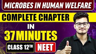 MICROBES IN HUMAN WELFARE in 37 Minutes  Full Chapter Revision  Class 12th NEET [upl. by Whatley]