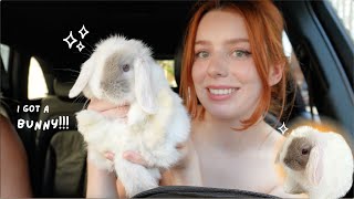 GETTING MY DREAM PET first 72 hours with baby mini lop bunny [upl. by Idmann472]