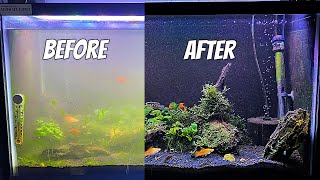 Cleaning a Dirty Aquarium  Fish Tank Maintenance [upl. by Donica489]