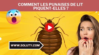 Piqûre de PUNAISES DE LIT  on vous explique Tout [upl. by Elyl]