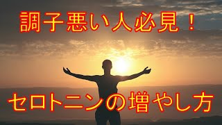 セロトニンの増やし方についてまとめました 読書 思考術 恋愛 心理学 幸せ 人間関係 職場 うつ病 [upl. by Rahsab]