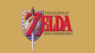 Shop NTSC Version  The Legend of Zelda Links Awakening [upl. by Cletus65]