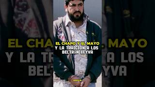 EL CHAP0 Y EL MAY0 TRAICIONARON A ARTURO BELTRÁN LEIVA🇲🇽💀shorts mexico narcos [upl. by Faulkner591]