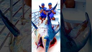 Giant swordfish caught on small 25 Talica badcompanyfishingadventures most epic sporting battle [upl. by Oloapnaig]