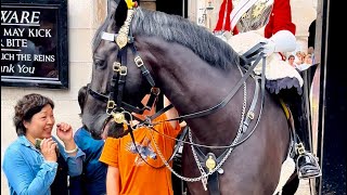 quotHilarious Horsebox Hijinks Tourists Unusual Blunders Amidst a Packed Crowdquot [upl. by Tica]