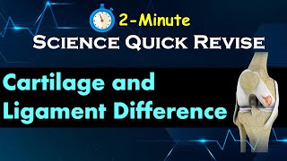 quotCartilage vs Ligament Understand the Difference in Just 2Minutesquot Learn Science Concepts Quickly [upl. by Winser]