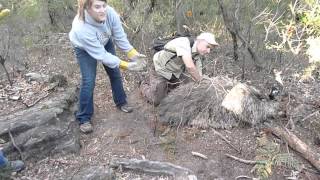 Collecting Emu Eggs [upl. by Niarbo]