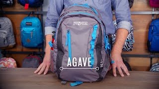 JanSport Pack Review Agave Hiking Backpack [upl. by Adnarem]