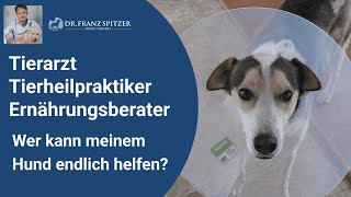 Tierarzt Tierheilpraktiker Ernährungsberater  wer kann meinem Hund endlich mal helfen [upl. by Avehstab]