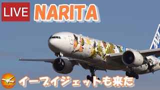 🔴LIVE at NARITA International Airport Plane Spotting 20240227 成田空港ライブカメラ 成田空港 NRTRJAA [upl. by Malena]