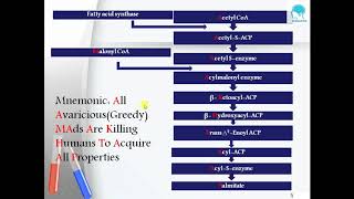 Fatty Acid SynthesisPalmitate Memorize within 1min [upl. by Nod]